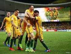 IM体育动画直播通道-澳大利亚豪取四连胜，晋级半决赛