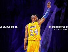 IM体育在线注册-帕尔默存在感拉满，克罗地亚防守锁死塞内加尔，一场战术与意志的较量