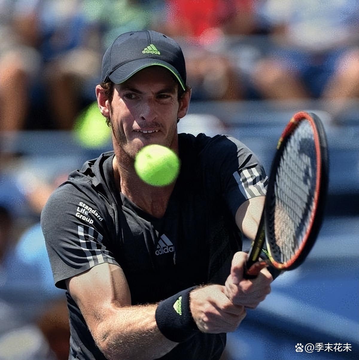 IM体育-澳网鏖战美网，穆雷惊艳四座