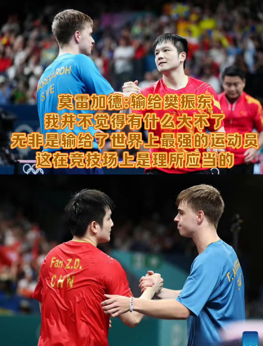 IM Sport-法国队逆转中国队，樊振东带队取胜