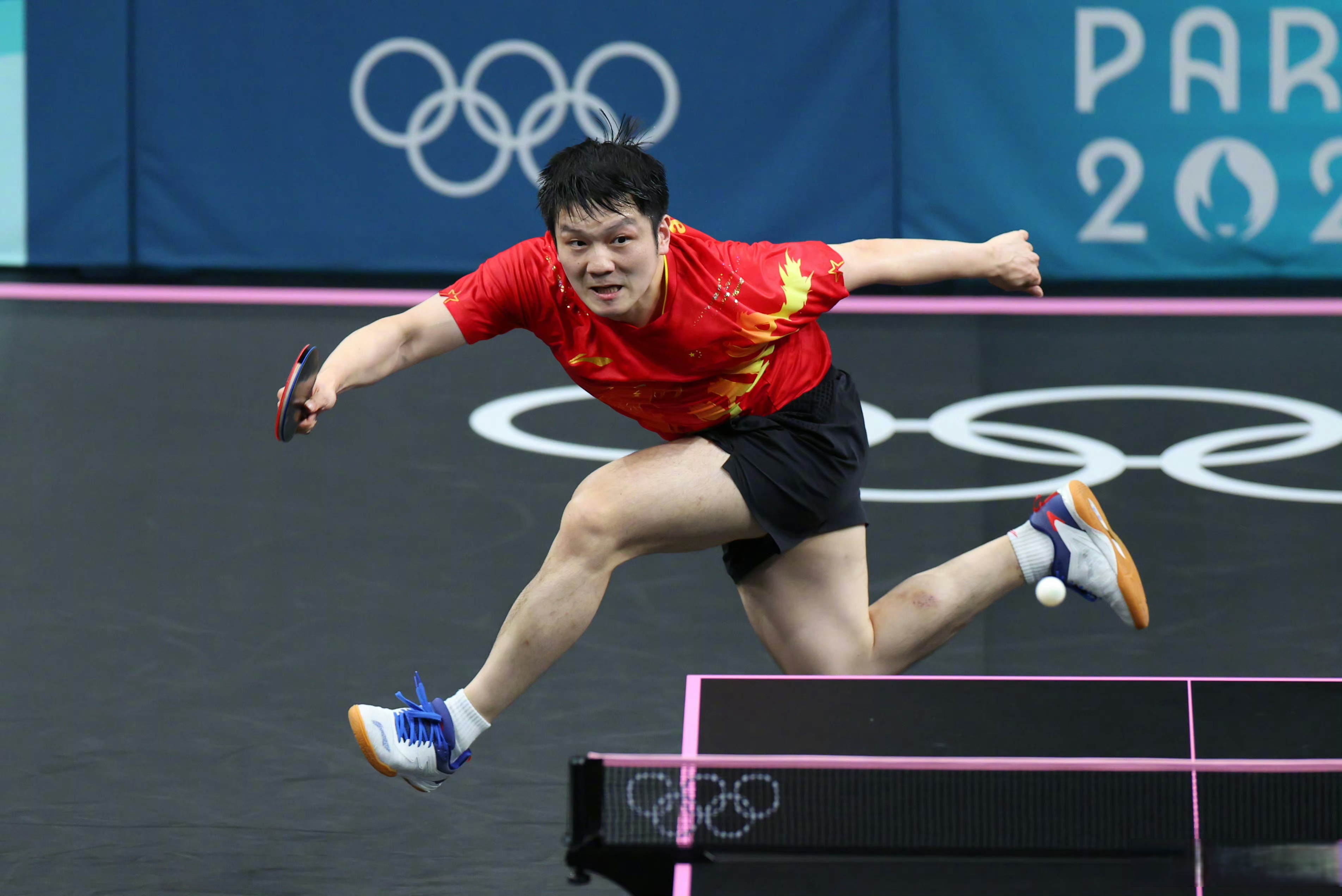 IM体育-瑞典队碾压中国队，樊振东高光表现的简单介绍