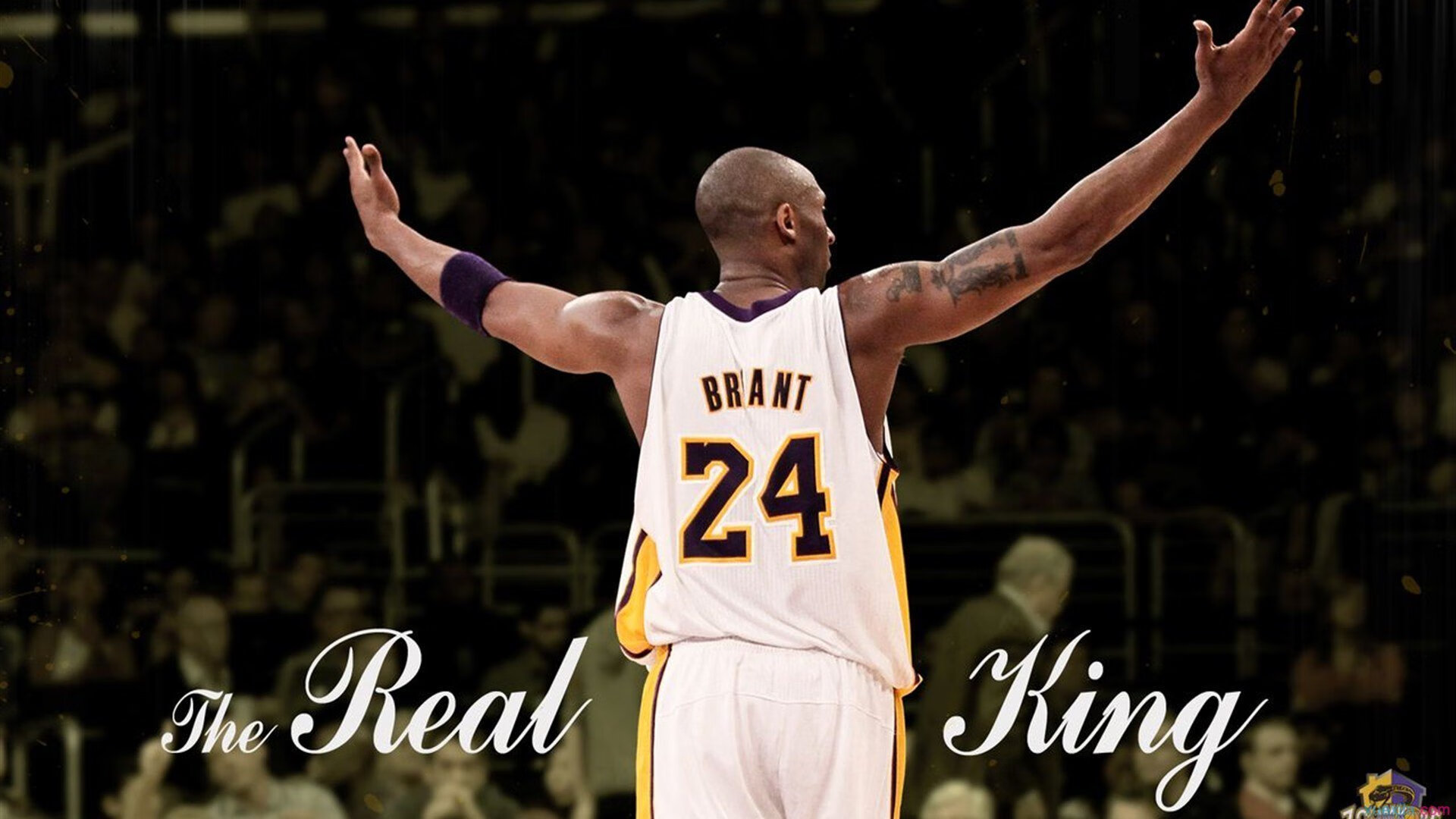 IM体育赛事直播入口-红土之王跨界征服硬地，纳达尔美网完胜蒙特卡洛大师赛，刷新历史纪录的深层启示